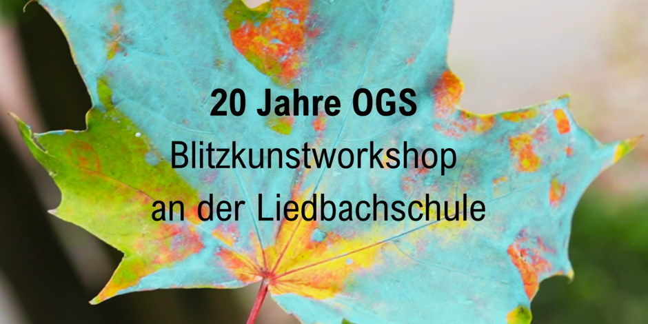 Grafik 20 Jahre OGS an der Liedbachschule