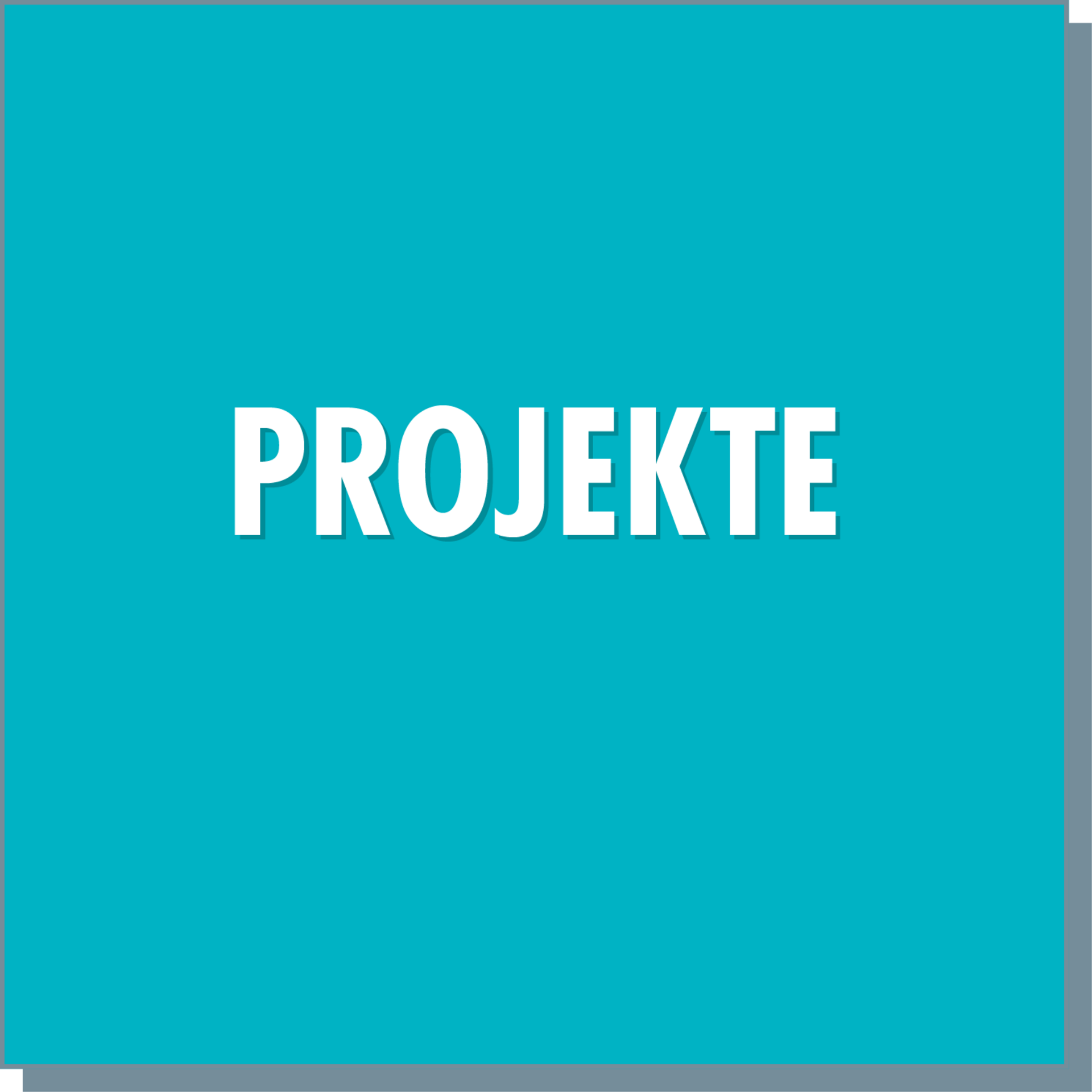 Sozialpädagogische Initiative Unna – Projekte