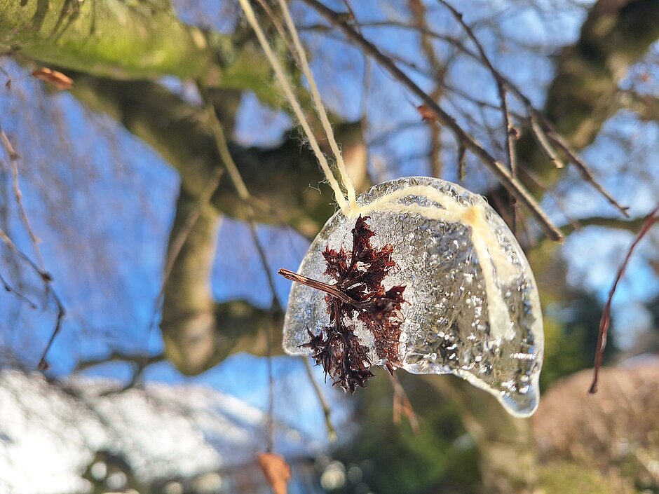 Kleine Forscher - Experimente mit Eis Kleine Forscher in der Kita Wasserburg