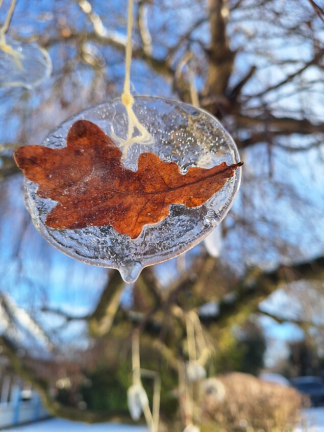 Experimente mit Eis Kinder forschen in Kita Wasserburg